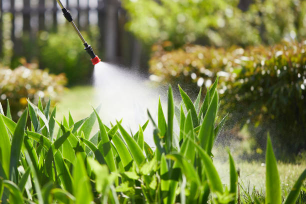 24/7 Emergency Wasp Removal experts in Bangor, MI