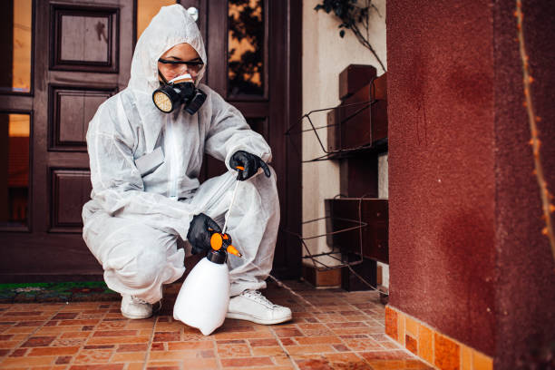 Reliable Wasp Removal contractor in Bangor, MI by Show Me Pest Control